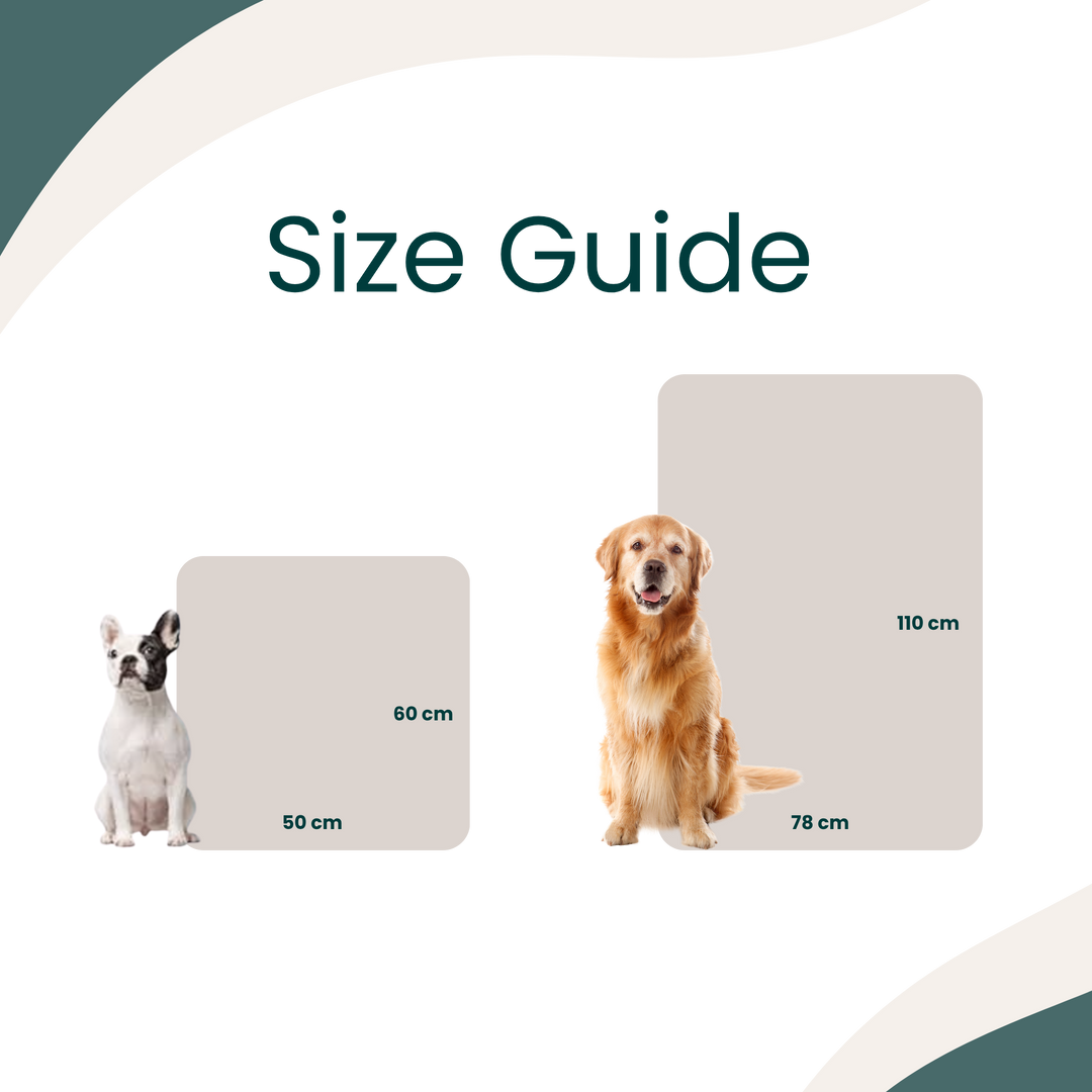 SoftPaws 3-Pack Blankets