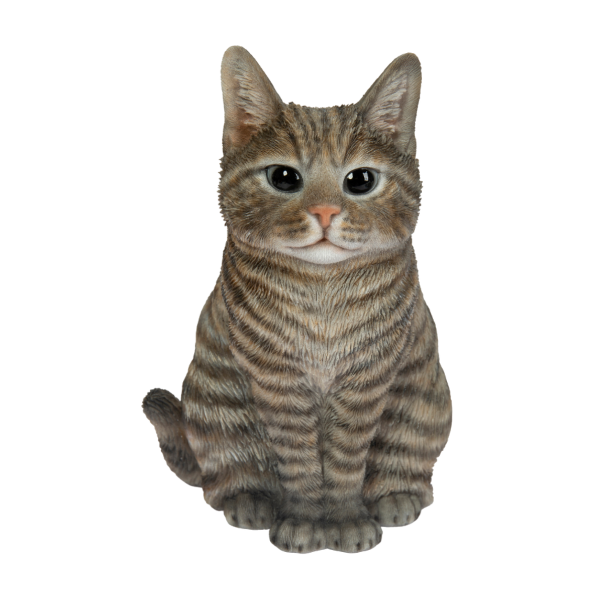 Tabby Cat