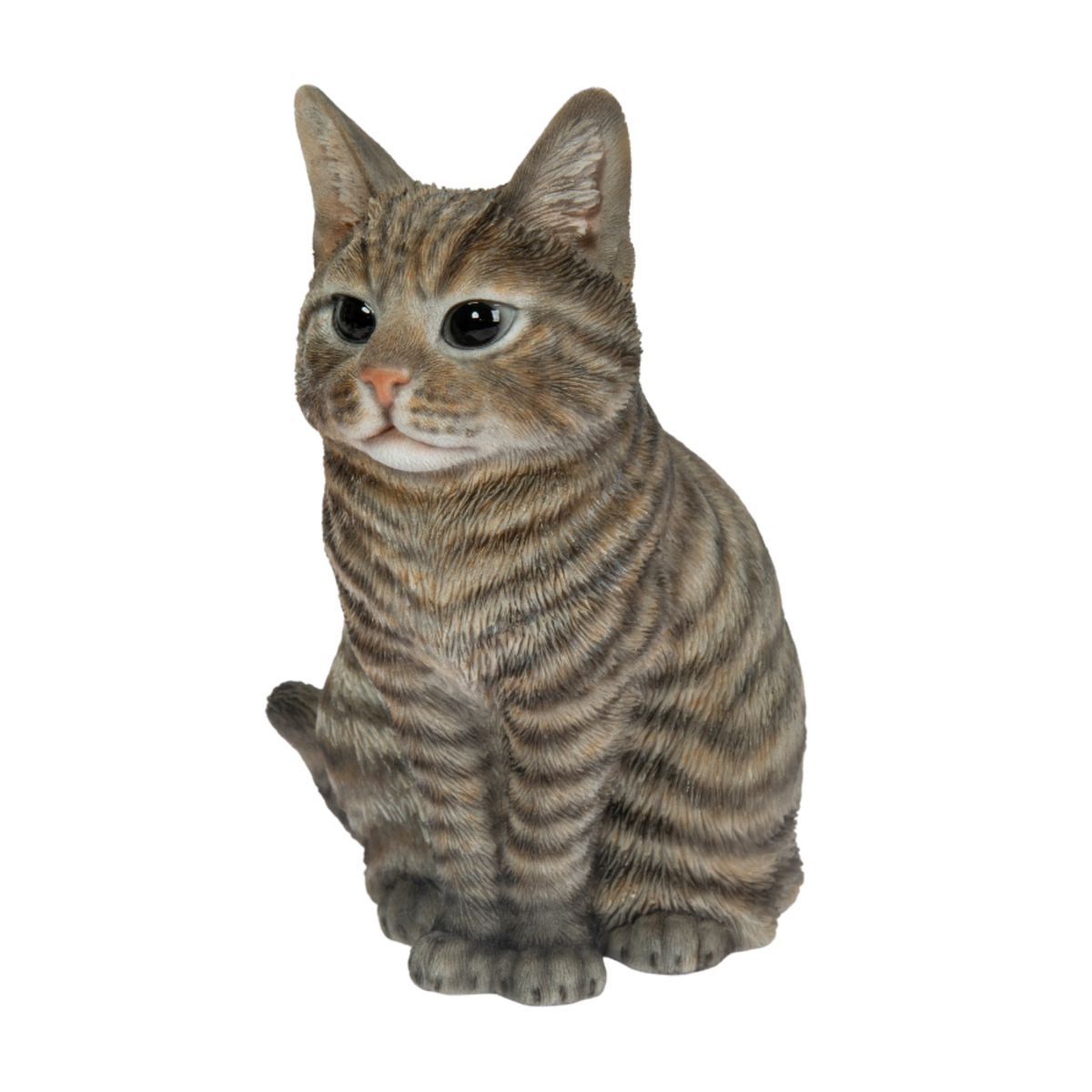 Tabby Cat