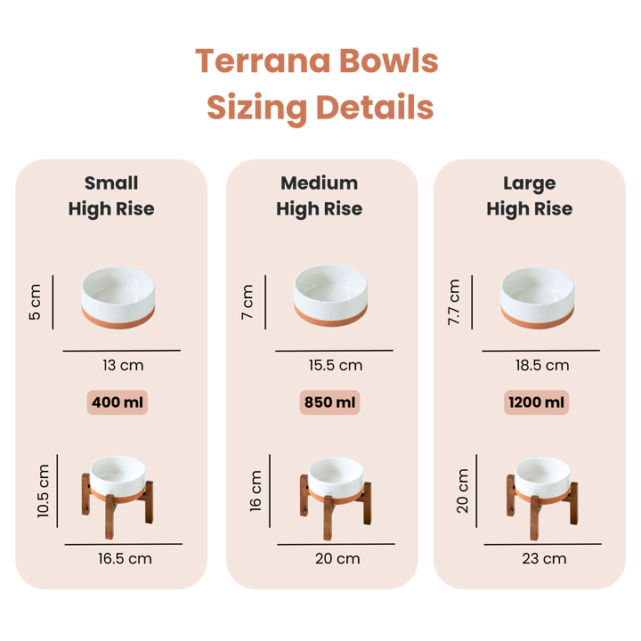 Terrana Bowl