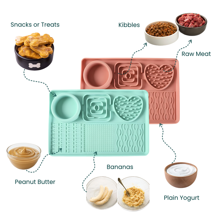 The SlowFeast Tray