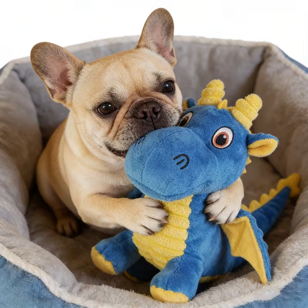 The Squeaky Dragon