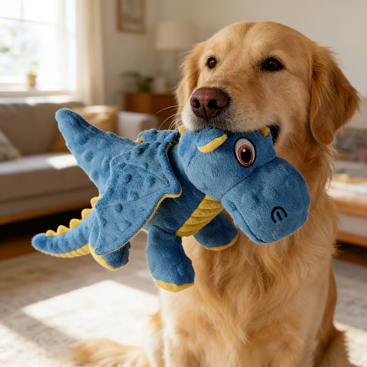 The Squeaky Dragon