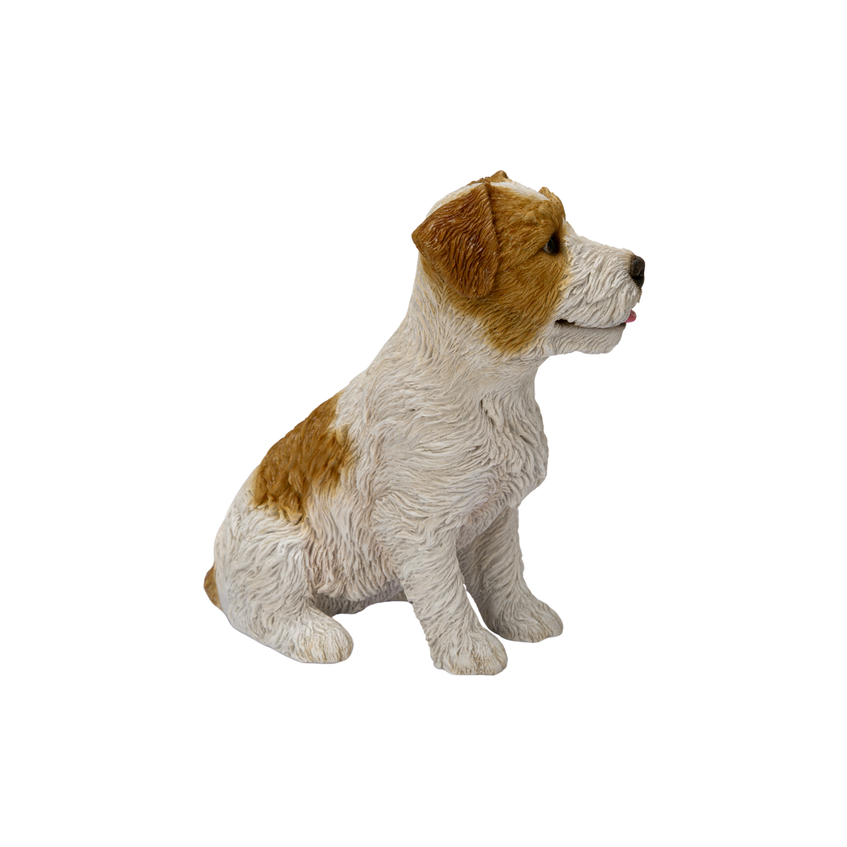 Wire-Haired Jack Russell