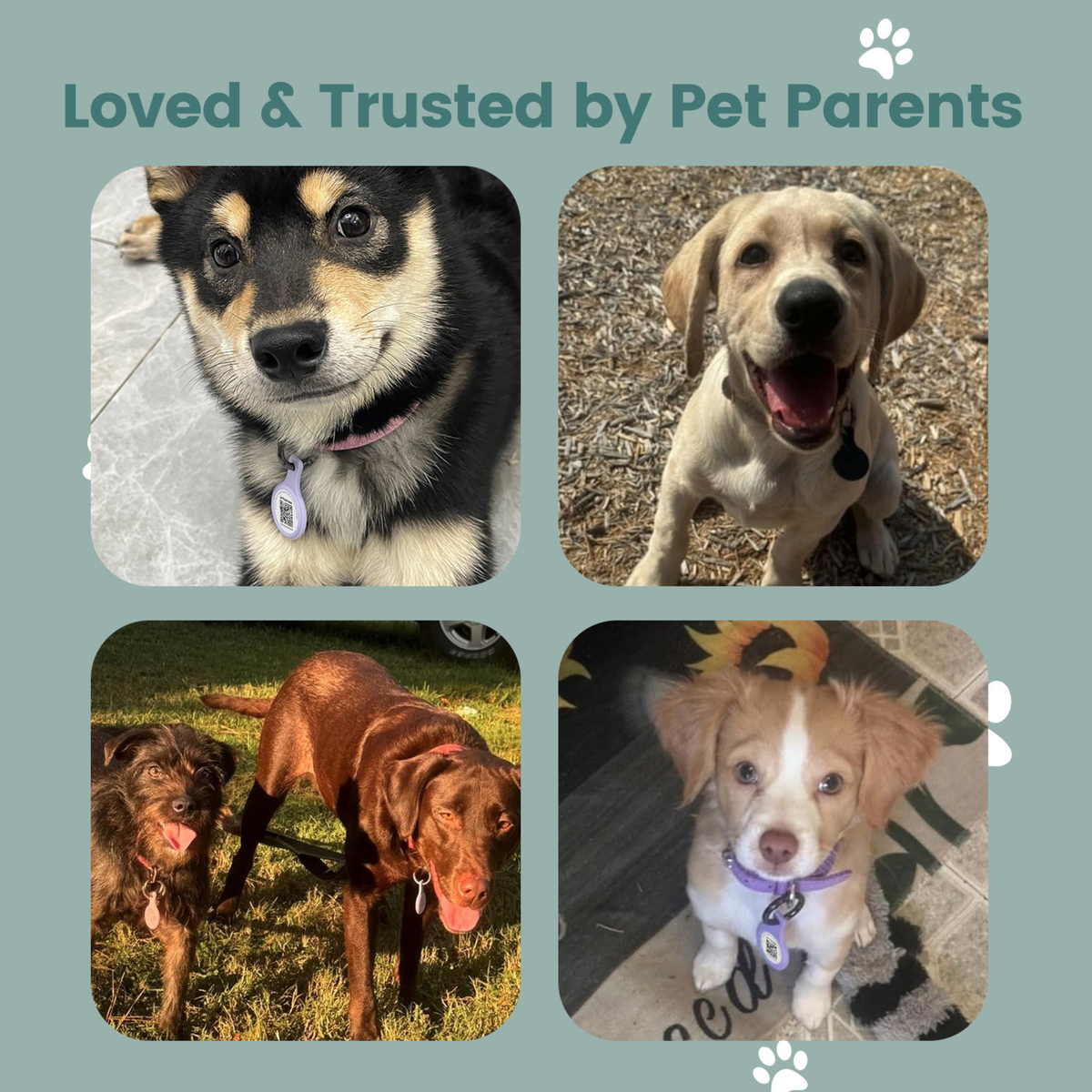 Anti-Loss Smart Pet ID Tag - NFC & QR Code