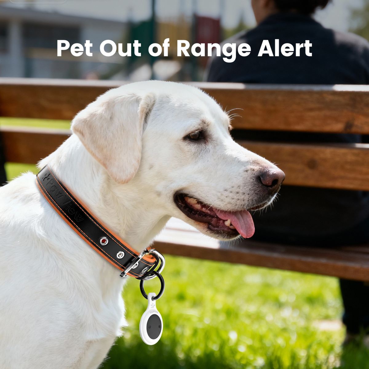 Smart Pet Tracker - QR & AirTag Holder