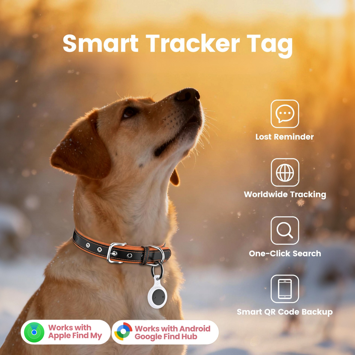 Smart Pet Tracker - QR & AirTag Holder